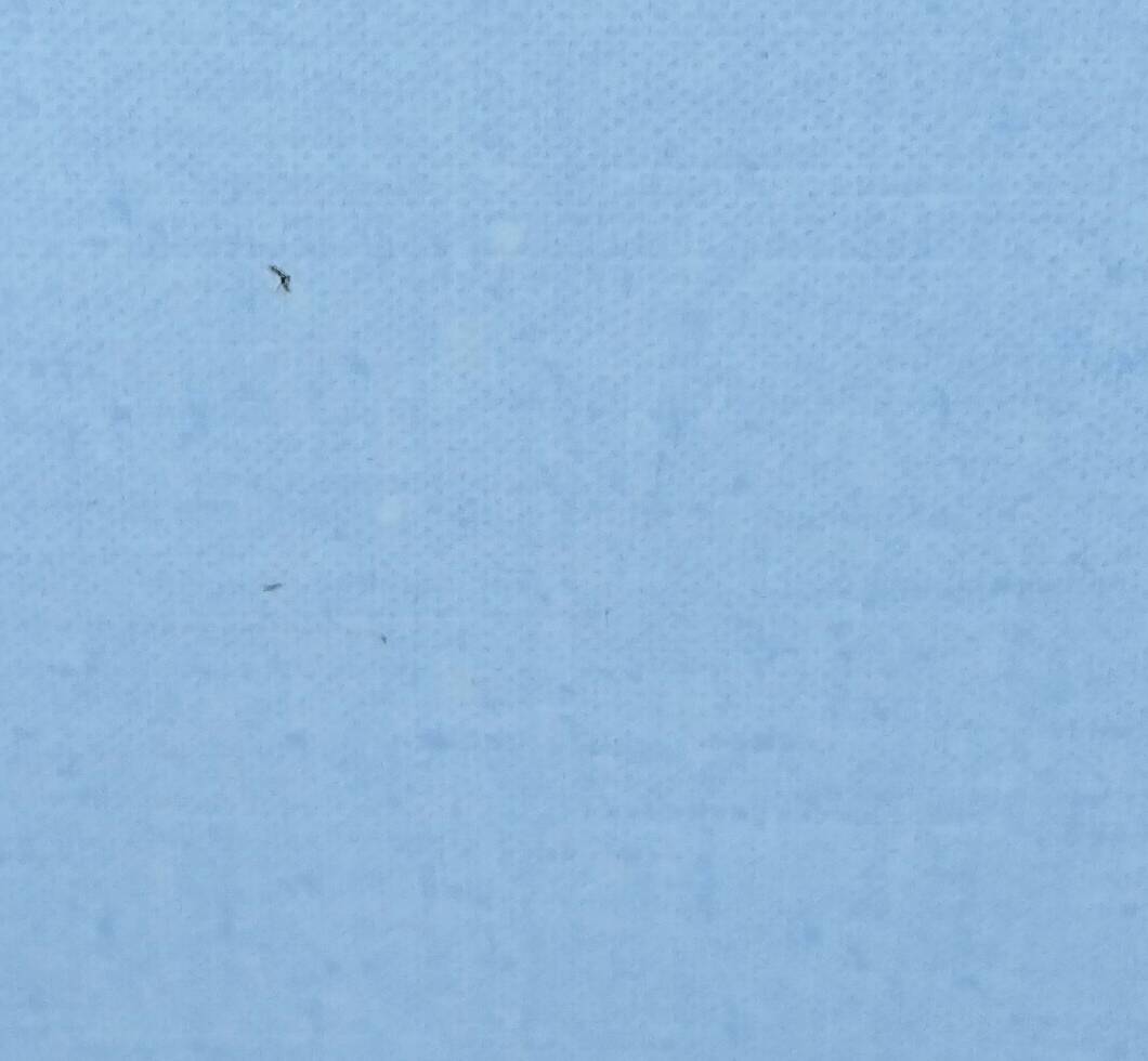 Formica blue & chrome stool 1960