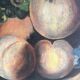 Old still life oil painting with grapes signed