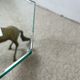 Hollywood Regency style coffee table, 6 patinated brass horses and glass top, 1970.