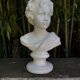 Plaster bust