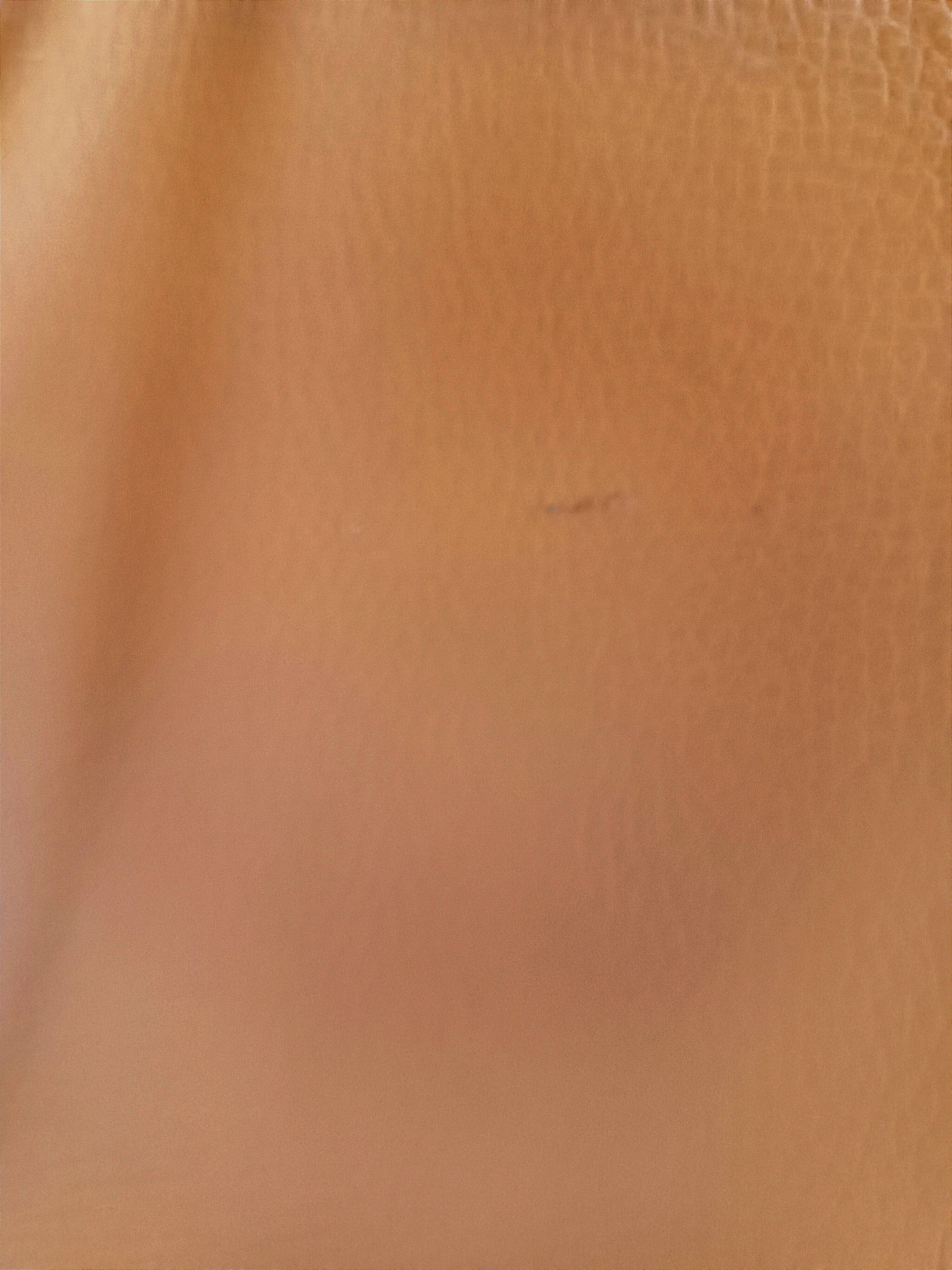 Deluxe leather lounge chair