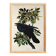 Poster about the Great Raven, based on an old engraving from 1827.
