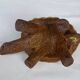 Accolay turtle, ceramic sculpture