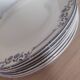 Flat plates ironstone Saussure