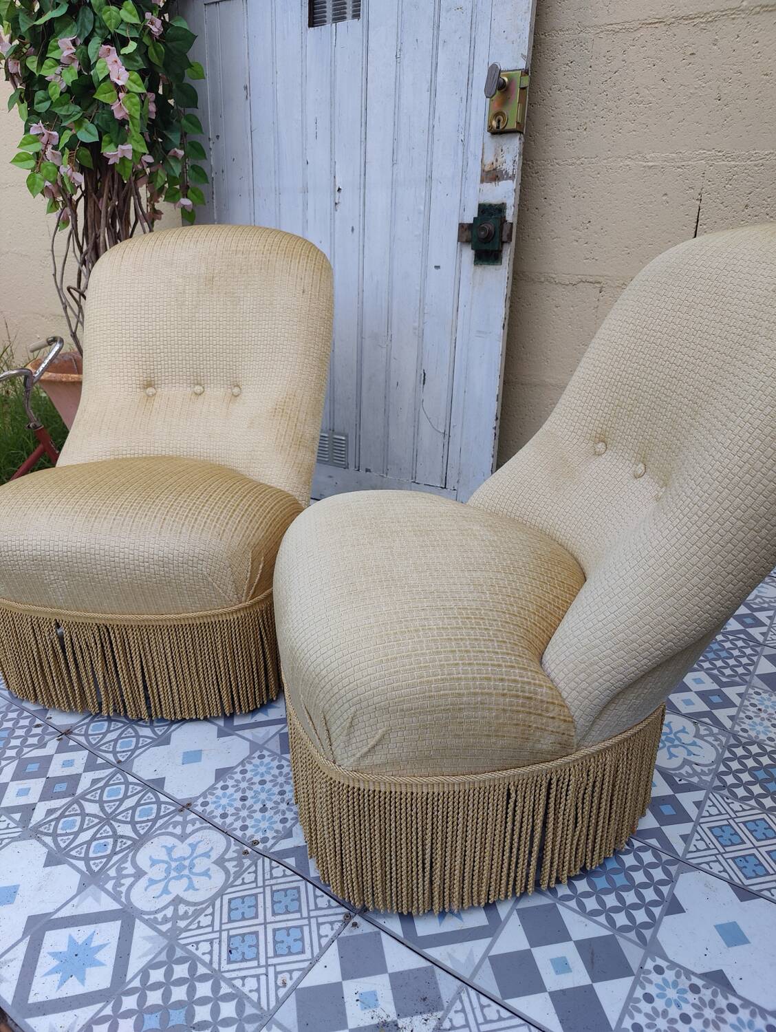 Pair of toad armchairs