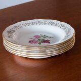 6 old plates L'Amandinoise