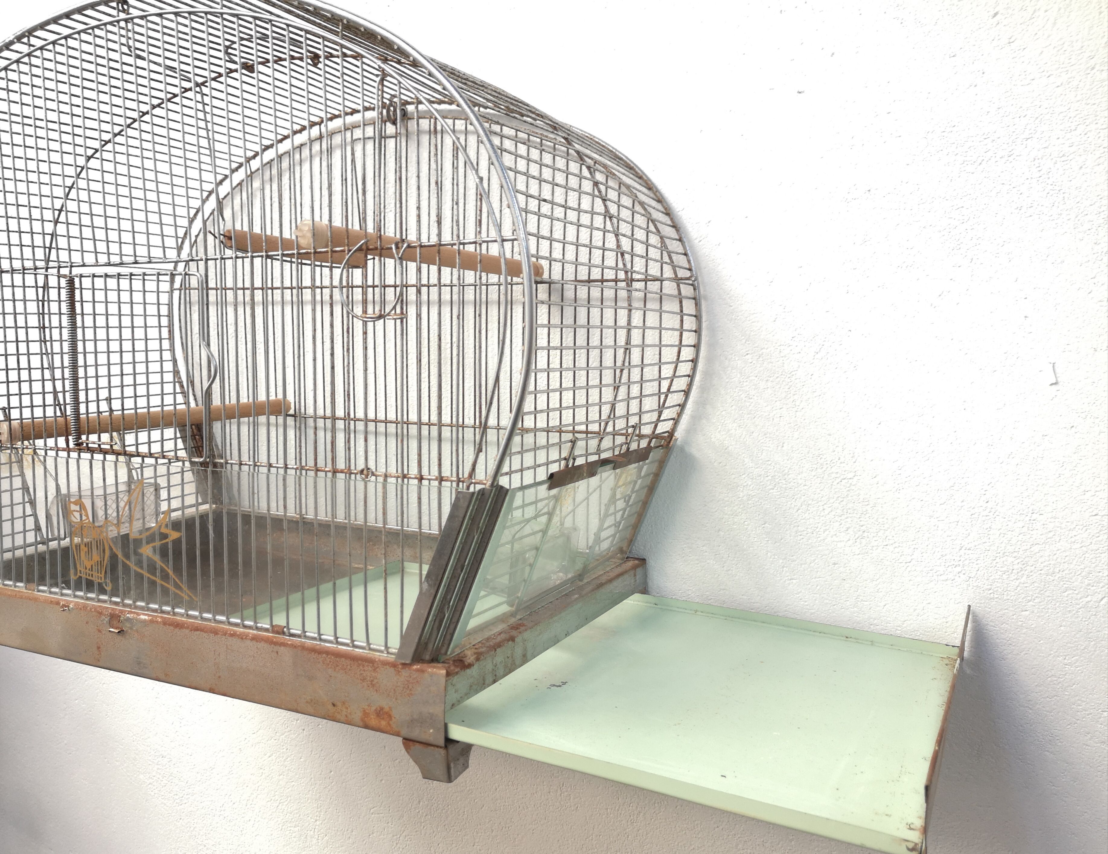 30 year old bird cage