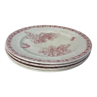 Set of 4 flat plates Onnaing Moisson