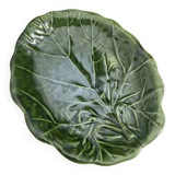 Cabbage dish