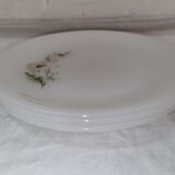 3 arcopal plates from 1970