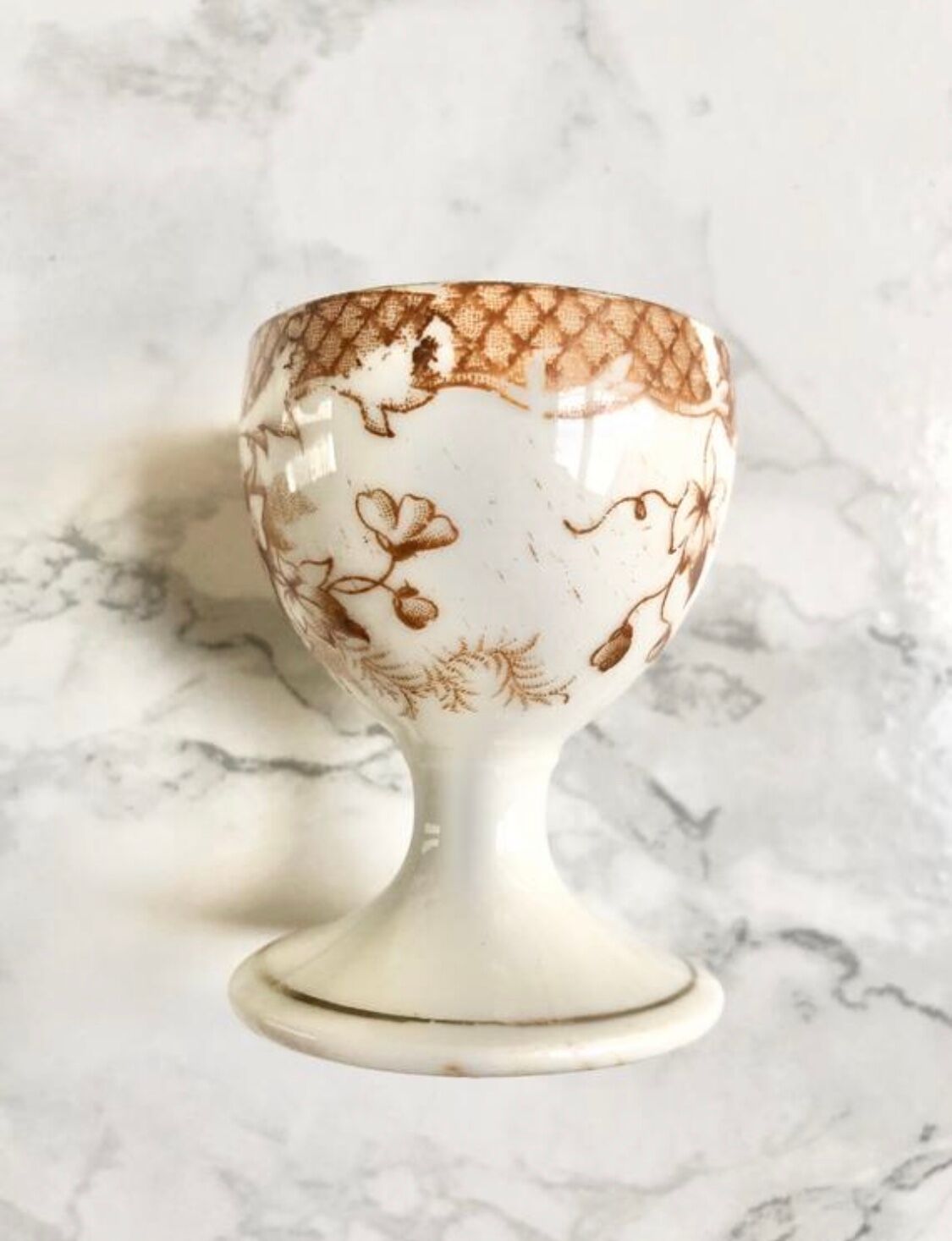 Suite of 4 old porcelain cockroaches decorated with sepia-printed leaves