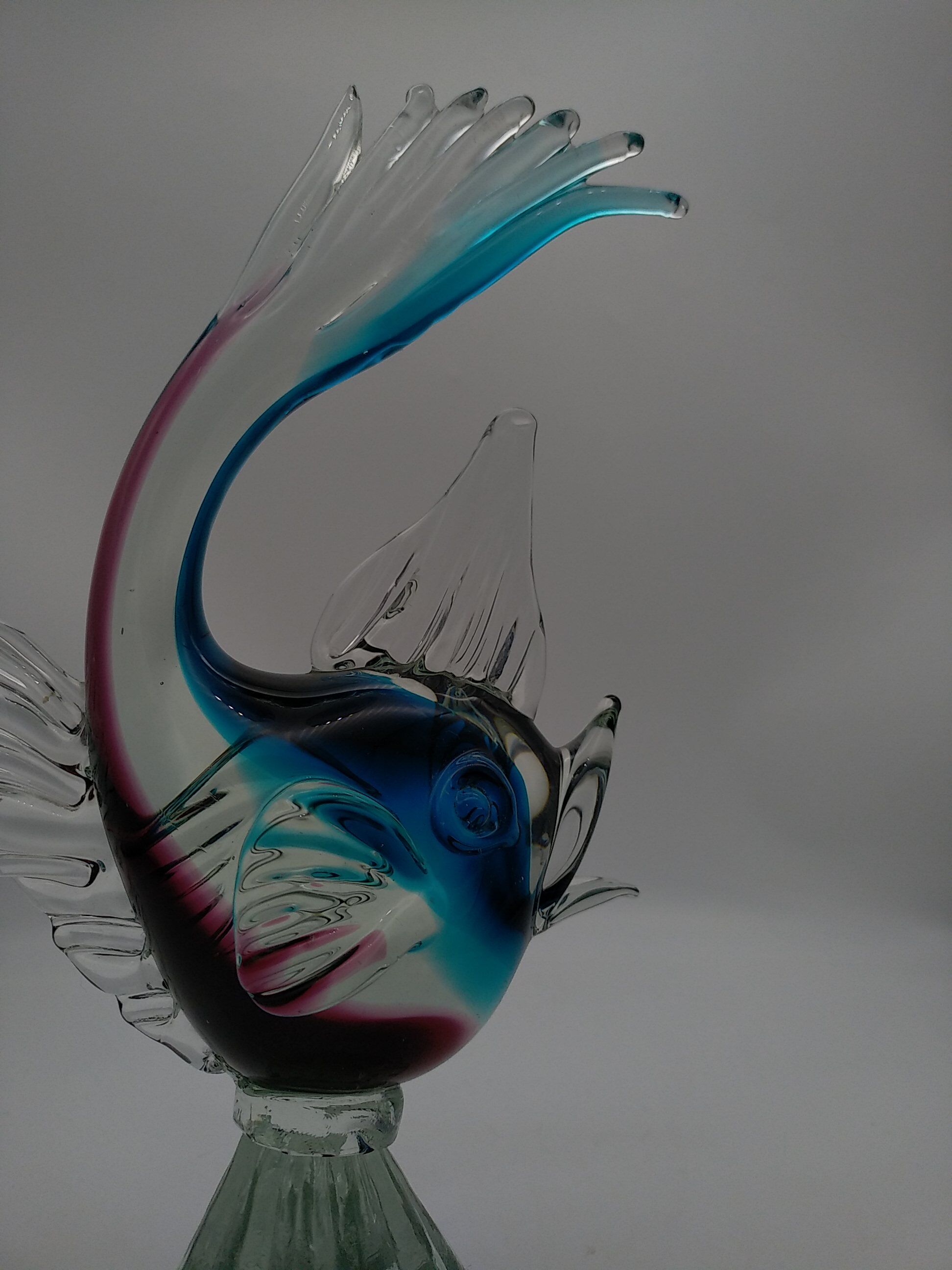 Glass fish