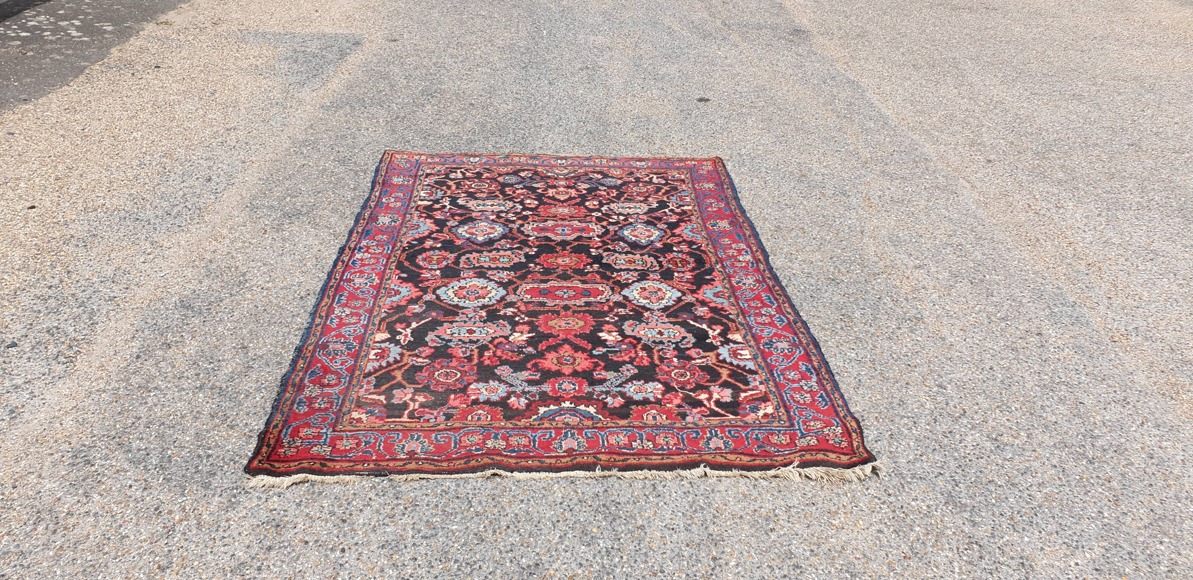 Oriental carpet wool