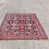 Oriental carpet wool