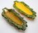 Set of 2 artisanal corn cobs in slurry from Portugal