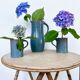 Service sandstone blue pitcher cups