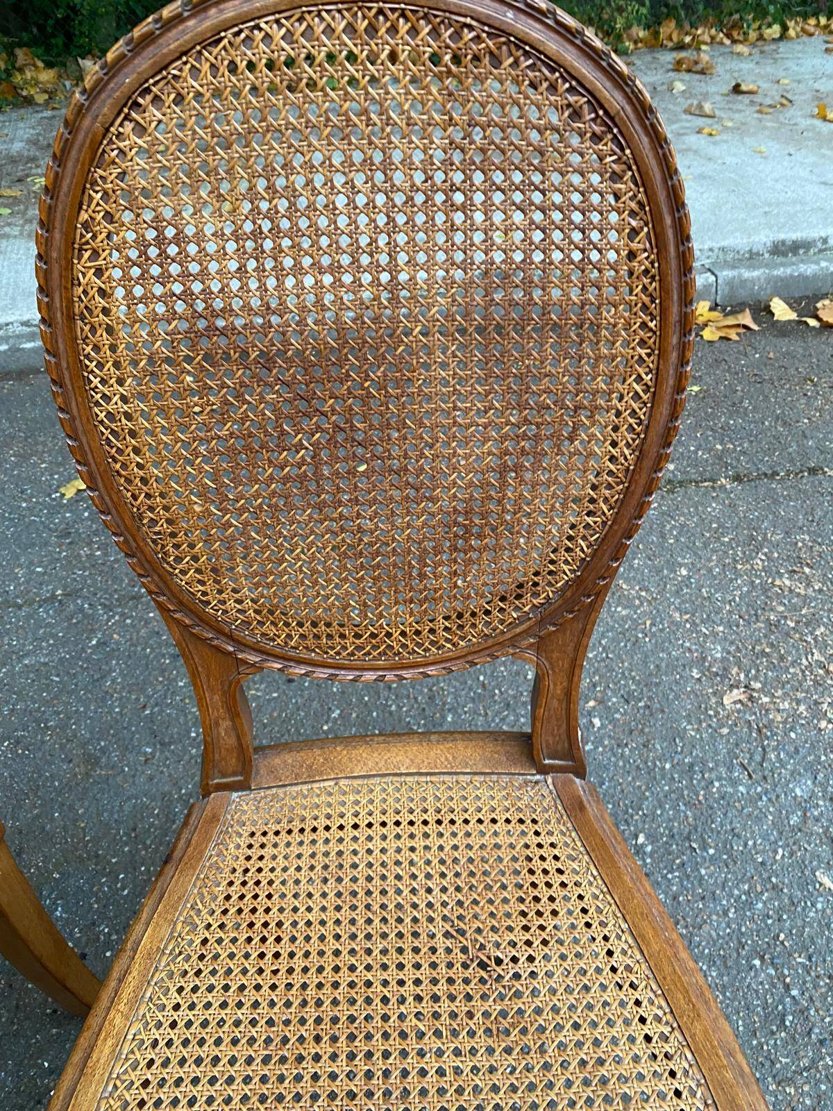 2 Louis XV medallion chairs in solid wood with canes