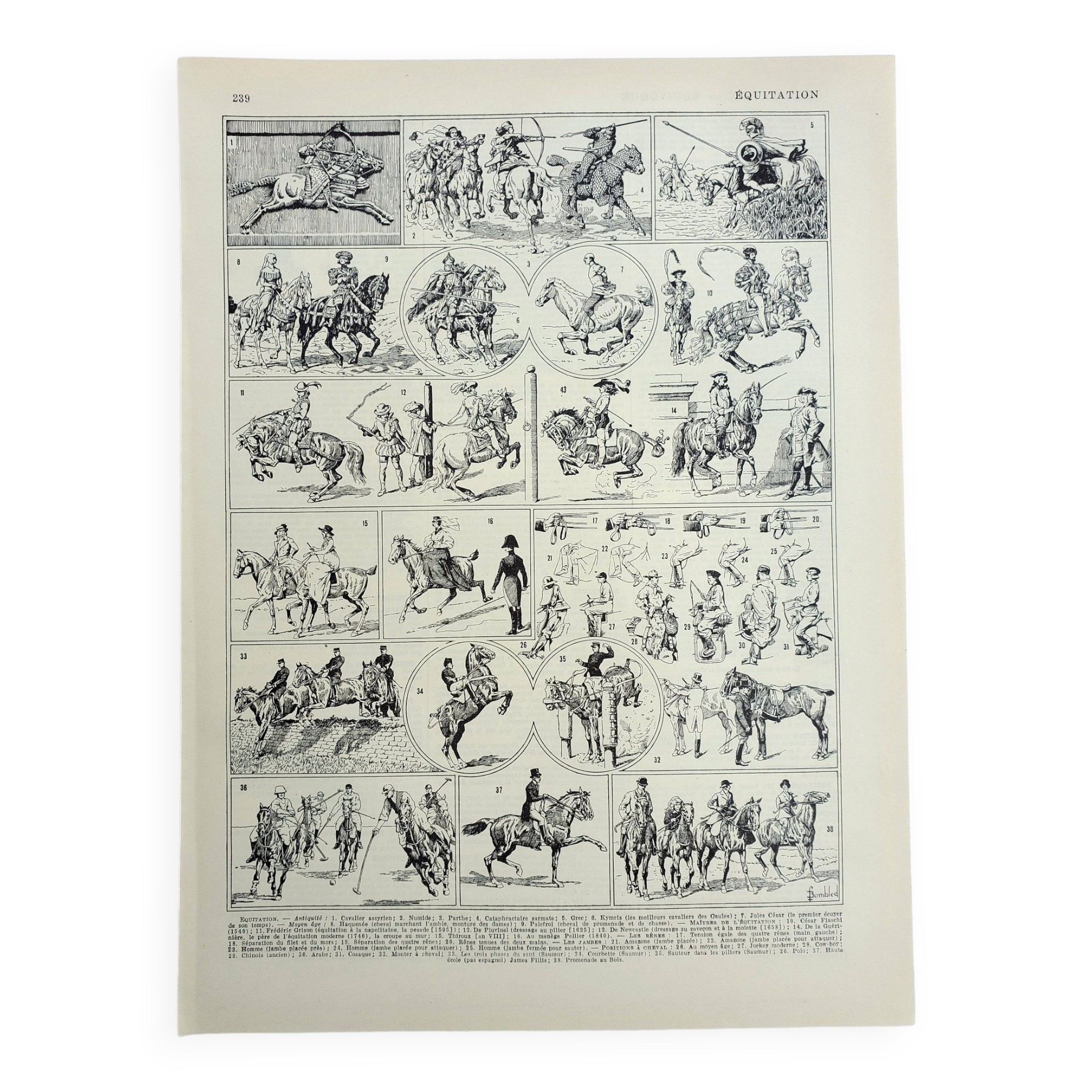 Old engraving 1928, Horse riding, horse, equestrian, equestrian • Lithograph, Original plate