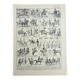 Old engraving 1928, Horse riding, horse, equestrian, equestrian • Lithograph, Original plate