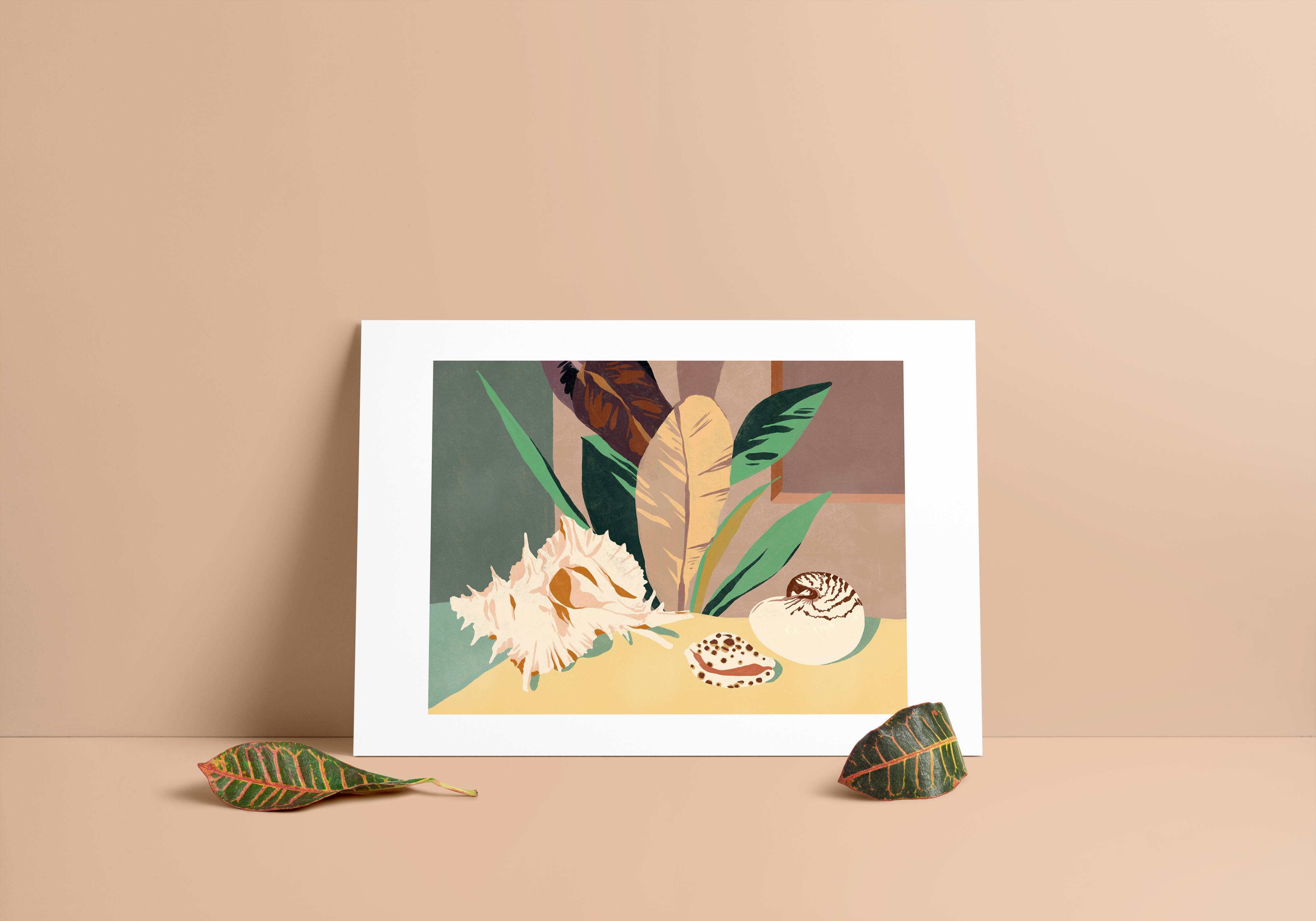 Terraqué, illustration