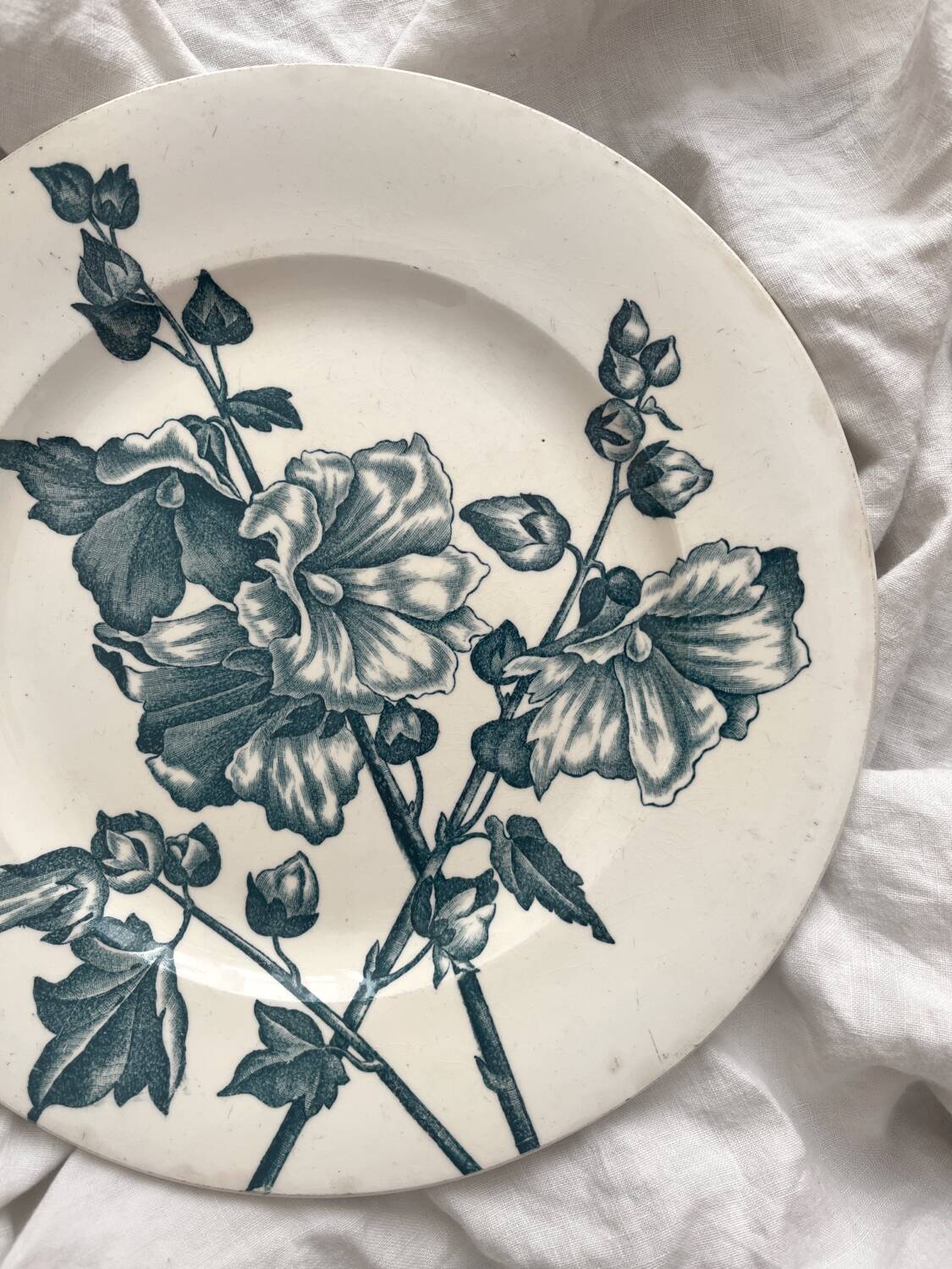 Antique ironstone plate "Tremières" Salins