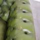 Stylish, English green cow leather spacious 2.5 seater chesterfield sofa