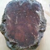 Ashtray in petrified wood