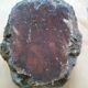 Ashtray in petrified wood