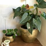 Early 20th century brass pot cover