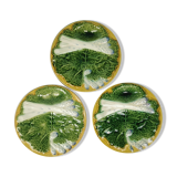 Asparagus plates Iron Earth