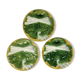 Asparagus plates Iron Earth