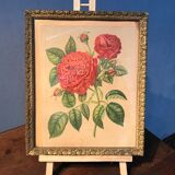 Floral lithography