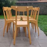 8 Zina chairs signed by Thibault Desombre