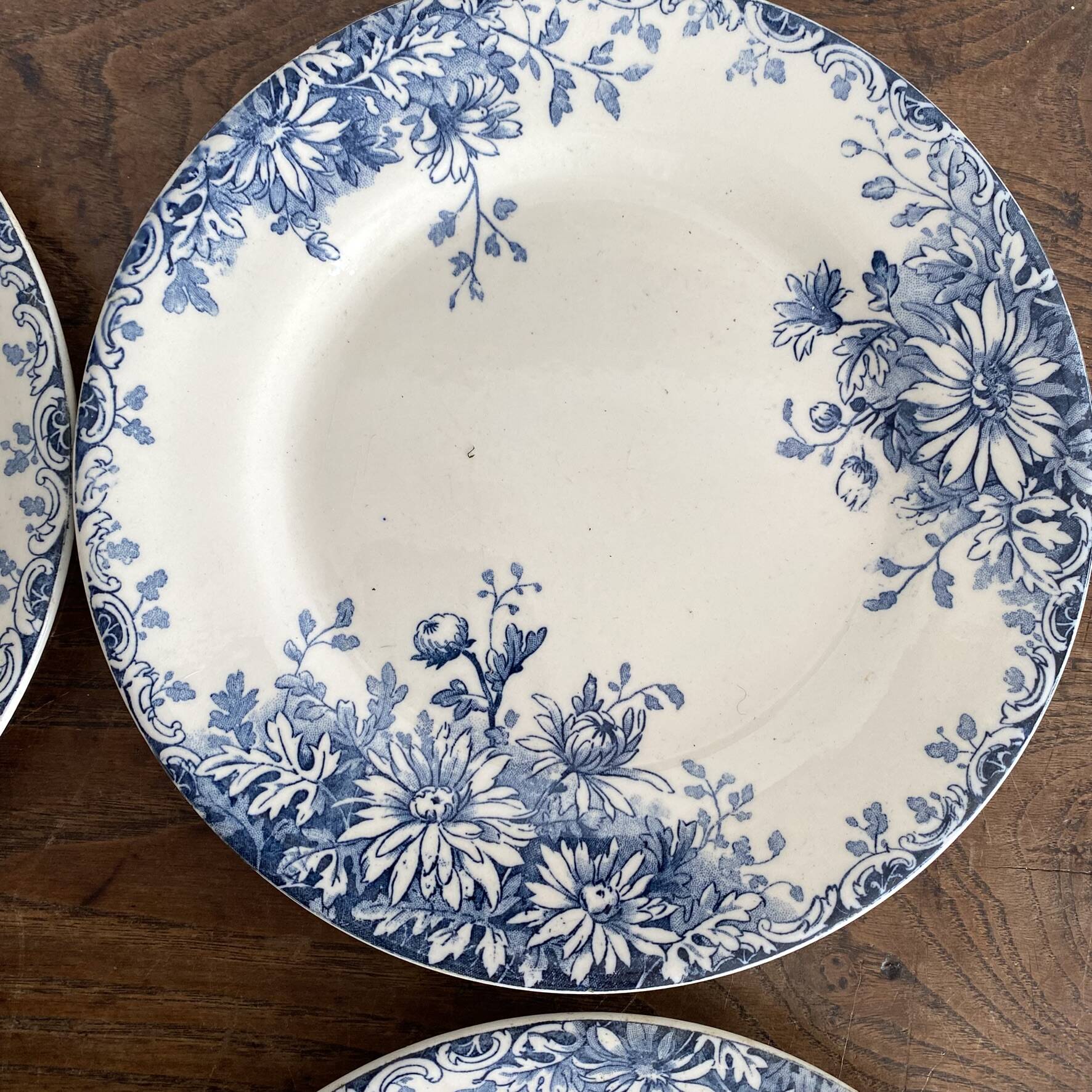 6 assiettes plates en terre de fer Gien "fleur d'automne"