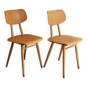 Pair of Dining Chairs by Antonin Suman for TON