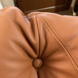 Rare set by JEAN GILLON, TIJUCA salon - 5 pieces - rosewood & leather