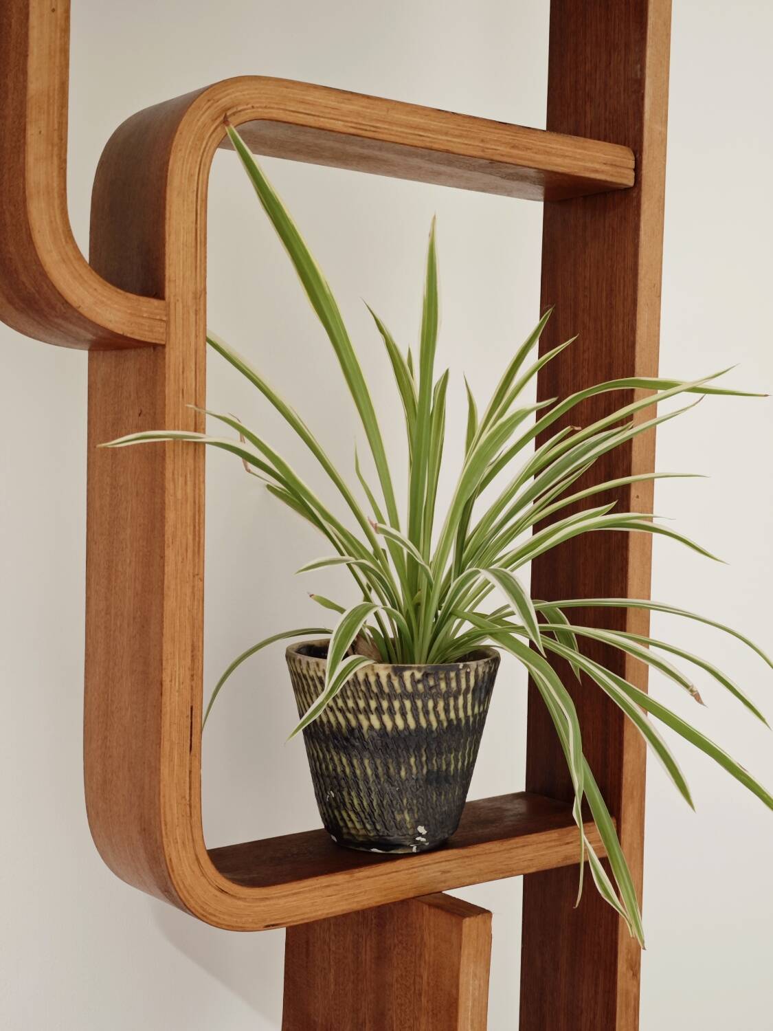 Czechoslovakian Claustra by Ludvik Volak for Drevopodnik Holesov