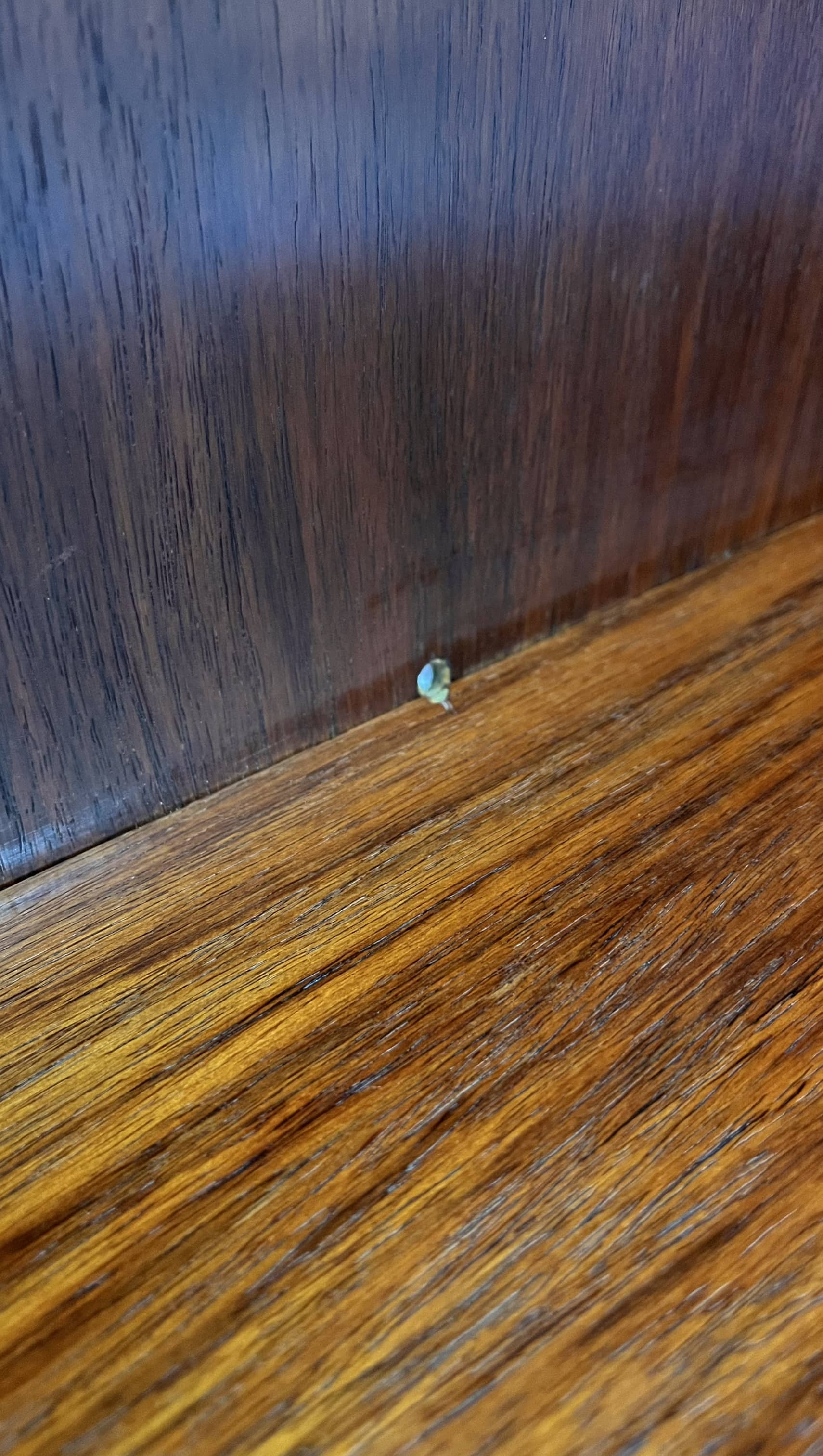 Bookcase in rosewood