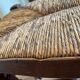 Straw bench