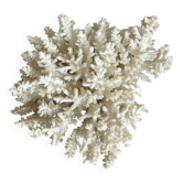 White coral bouquet