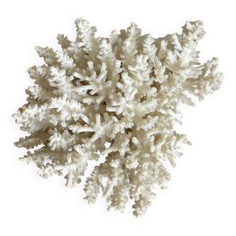 White coral bouquet