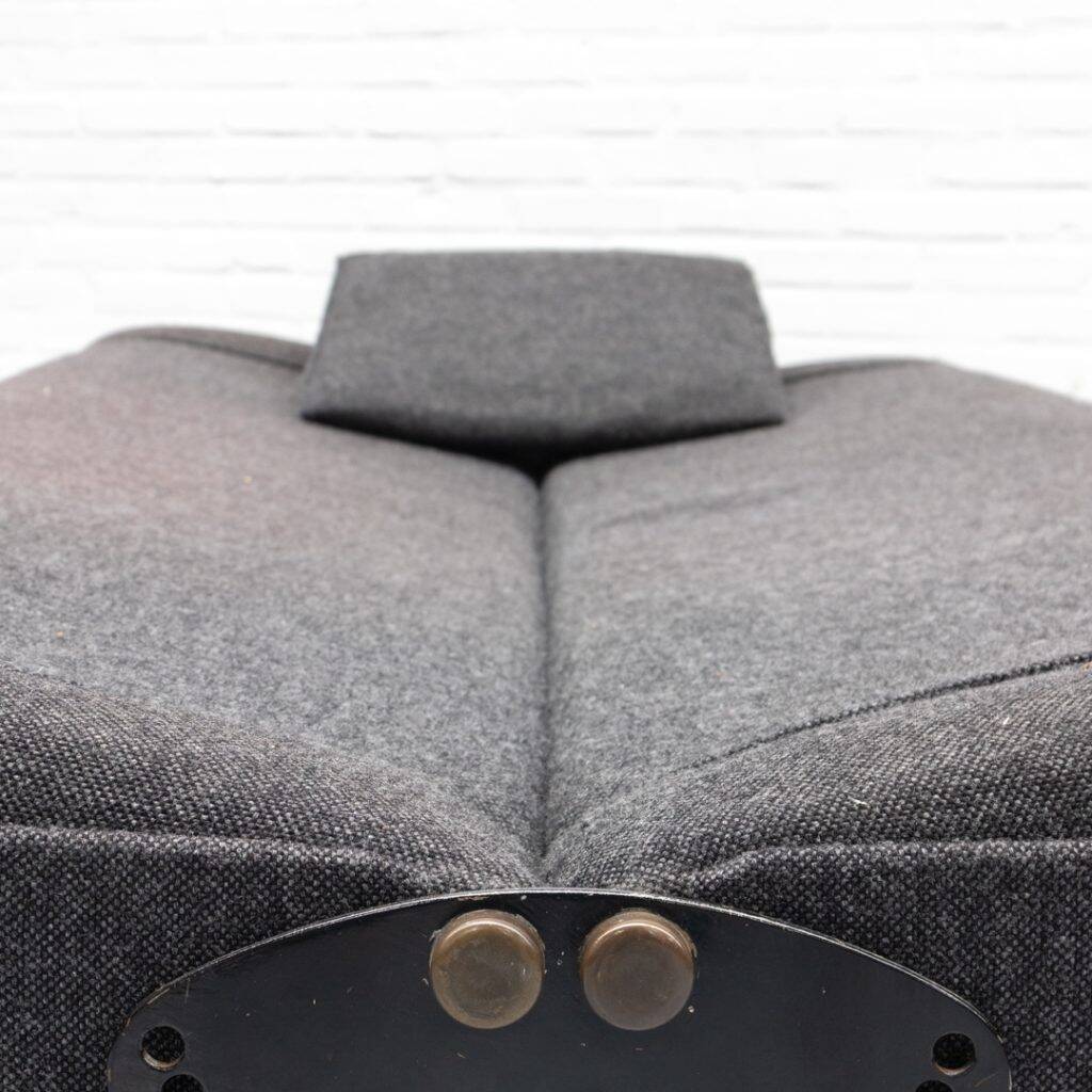 D70 Daybed Sofa by Osvaldo Borsani for Tecno 1950s