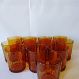 Service 12 glasses
