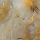 Verlys cup Water lily flowers amber molded pressed glass 60s