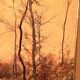 Louis Tauzin (1842-1915), “Landscape at the river” watercolor signed and framed