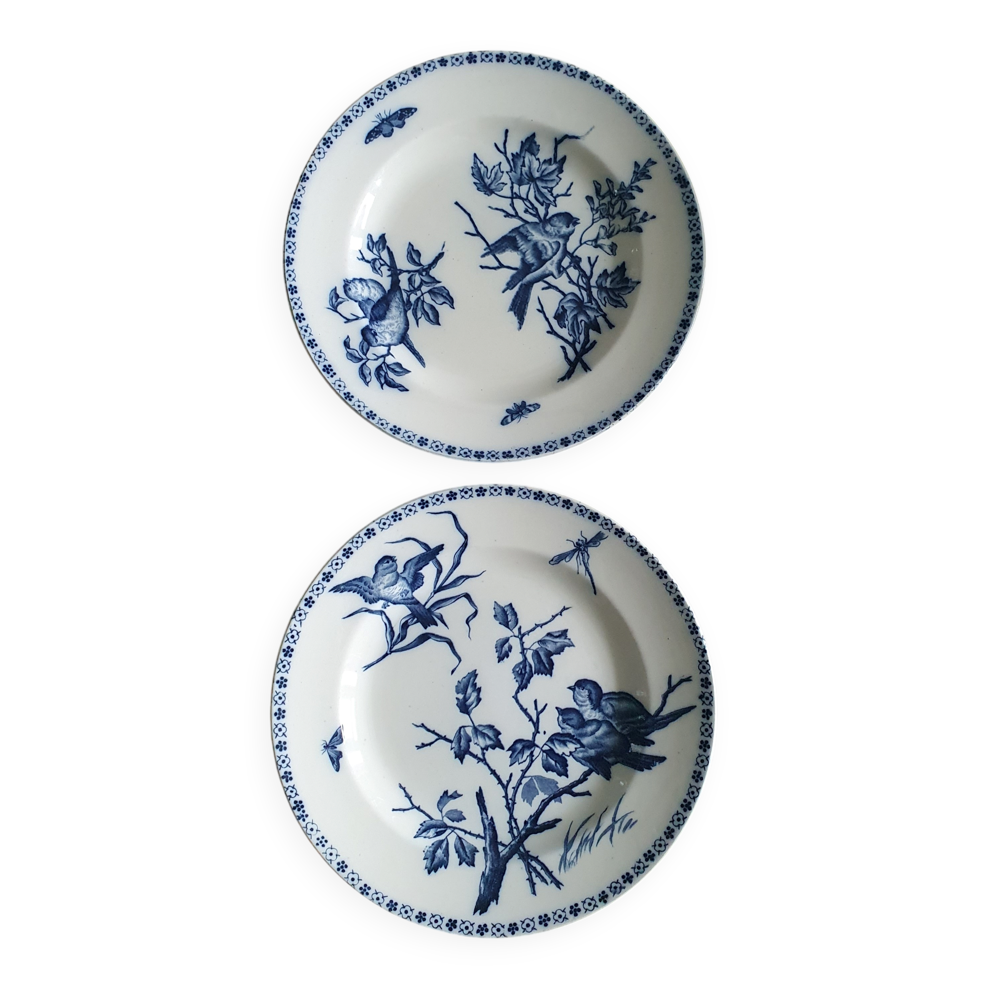 Duo d'assiettes Terre de fer