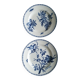 Duo d'assiettes Terre de fer