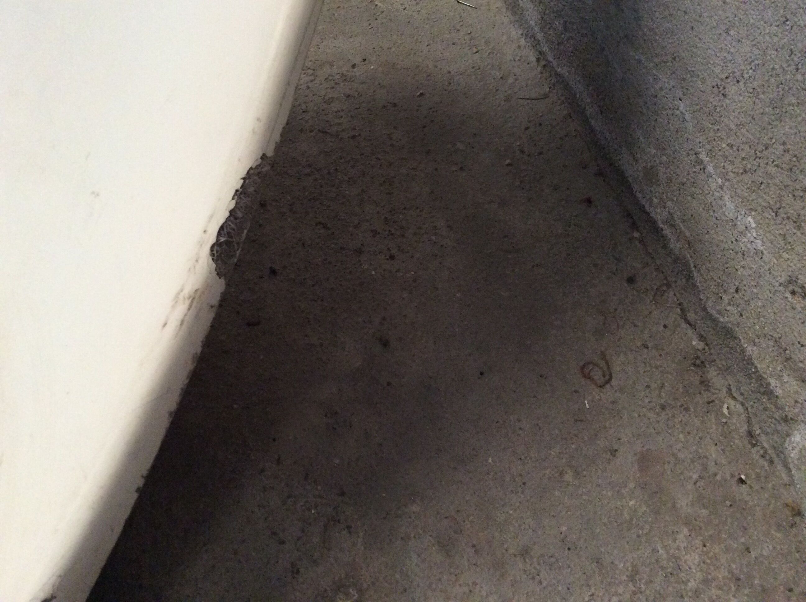 Transat sunbathing Zublena 1960