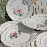 Set of 12 flat plates Digoin Sarreguemines