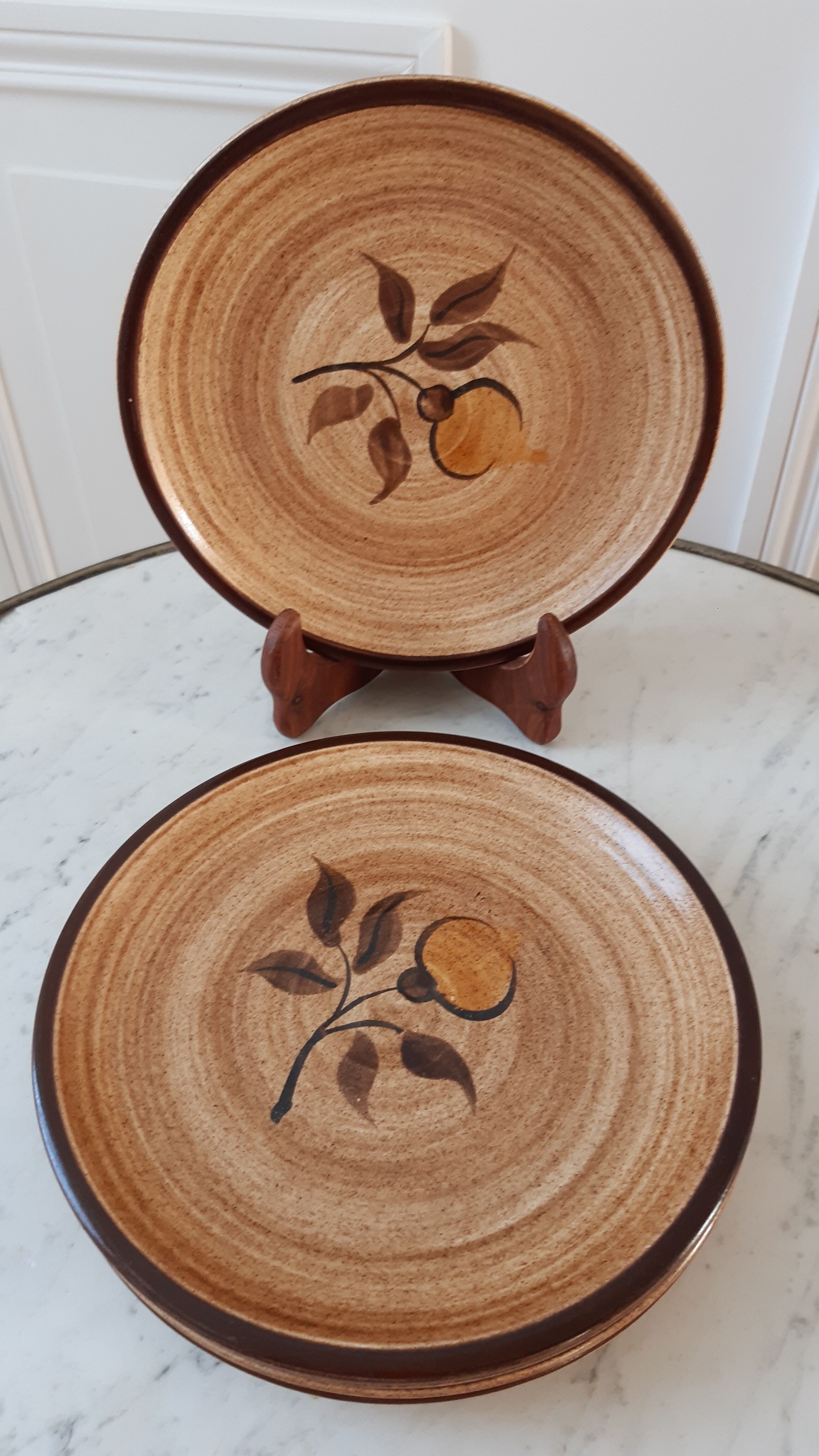 Set of 5 dessert plates in Salins stoneware 70s